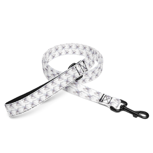 Quantum Nanops: Pet Leash (From the indGame book series)
