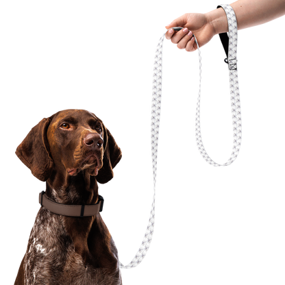 Quantum Nanops: Pet Leash (From the indGame book series)